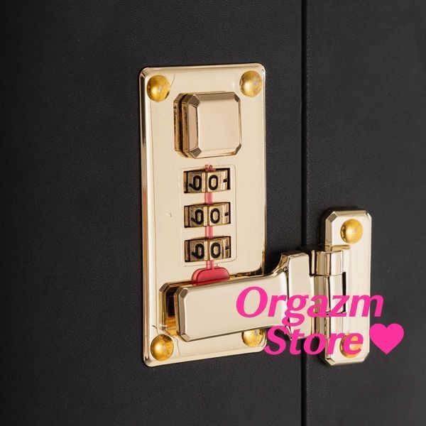 БДСМ-набор LOCKINK All-in-1 BDSM Play Kit, коричневый, ремни, маска, кляпы, анальные пробки, свечи SX0820 фото